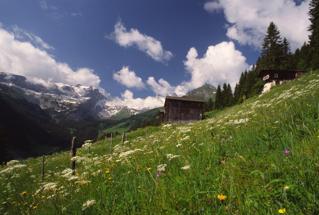 Hotel Montabella Schruns Esterno foto